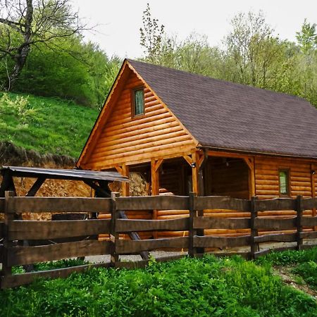 Cabana Staier Villa Anina Dış mekan fotoğraf