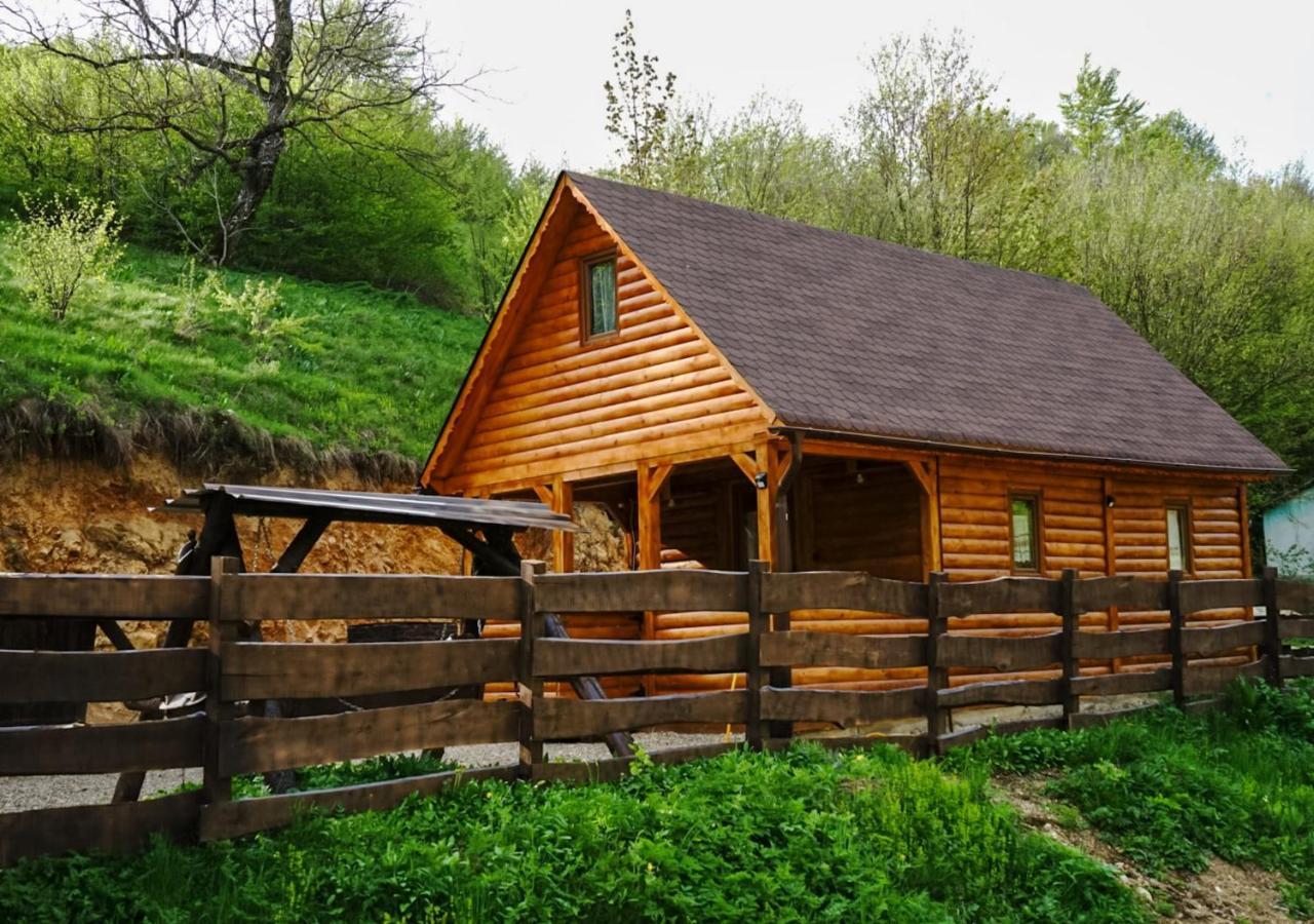 Cabana Staier Villa Anina Dış mekan fotoğraf