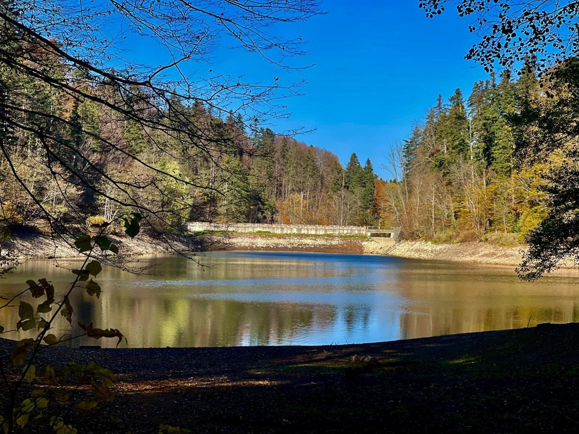 Cabana Staier Villa Anina Dış mekan fotoğraf